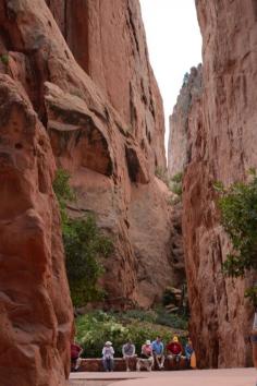 Garden of the Gods in Colorado Springs, Colorado >>> This is probably one of my favorite places in the US. It is so beautiful and accessible. Just being there feels like you are on another spiritual planet. I love it. Have you been? What did you think?