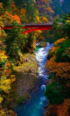 
                        
                            Okutama in metro Tokyo • photo: Kirill Skorobogatov on Flickr
                        
                    