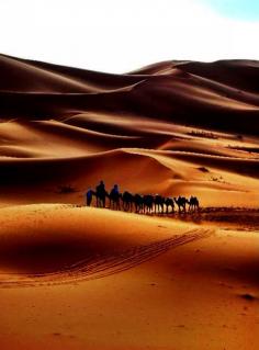 CAMEL TREKKING MERZOUGA NIGHTS IN DESERT