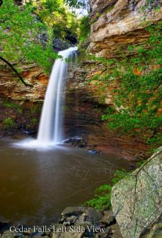 
                    
                        Cedar Falls - Petit Jean Mountain - Arkansas
                    
                