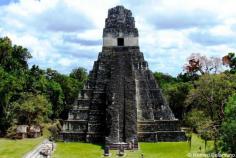 
                    
                        A guide to visiting the ancient Mayan temples of Tikal. #Tikal #Guatemala #travel
                    
                