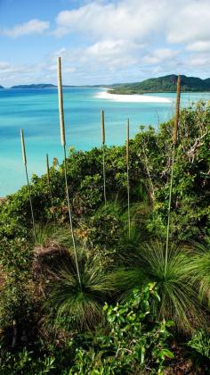 
                    
                        Mother Nature at her best on the Whitsunday Islands, Australia
                    
                