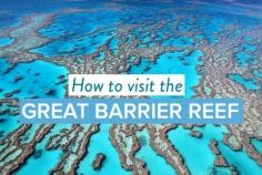 
                    
                        How to visit the Great Barrier Reef  - Australia
                    
                