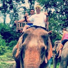 
                    
                        Ride an elephant!
                    
                
