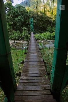 Suspension bridge, Camp 5, Gunung Mulu national park, Sarawak, Borneo, Malaysia