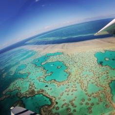 
                    
                        Take the Seaplane from Shute Harbour Airport all the way out to the reef!! Unreal experience. Discovered by Lloyd Seal at The Great Barrier Reef, Jubilee Pocket, Australia
                    
                