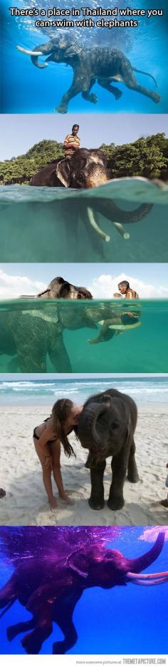 324540716870378268 Vagabond Tales   Swimming with Elephants in ThaiLand   Holiday Plan Ideas