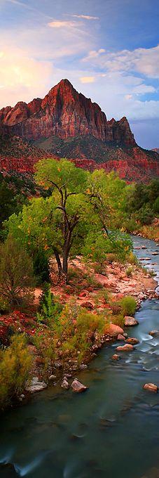 
                    
                        "Zion Tower" Zion National Park, Utah, United States. - Jeffrey Murray
                    
                