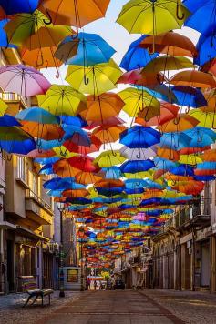 From July to September hundreds of colorful umbrellas "float" above the shopping promenades of Agueda, Portugal as part of the local Agueda Art Festival.