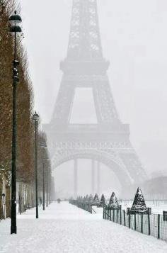 
                    
                        Paris in winter
                    
                
