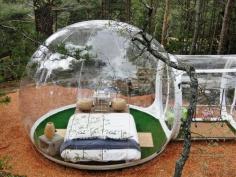 
                    
                        Outdoor camping bubble
                    
                