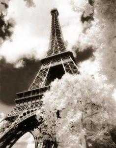 
                    
                        Eiffel Tower suitcasesandsunse...
                    
                