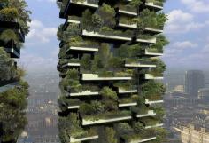 
                    
                        Milan's vertical forest is ready | 'The Bosco Verticale'
                    
                