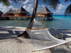 
                    
                        hammock
                    
                