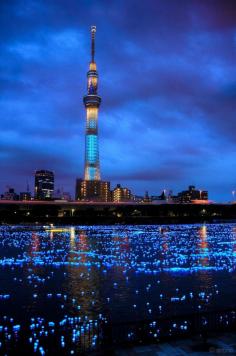 
                    
                        Sumida river was filled with millions of solar-powered LED light balls during Tokyo Hotaru Festival
                    
                