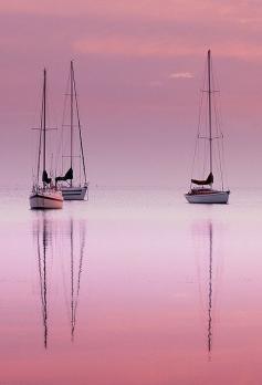Pink Dawn by MazzaPix on Flickr
