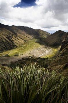 
                    
                        Ryan Heffernan   Sangay National Park, Ecuador
                    
                