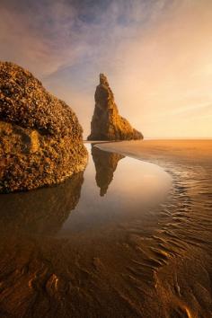 Bandon Beach, Oregon Joel Brady-Power