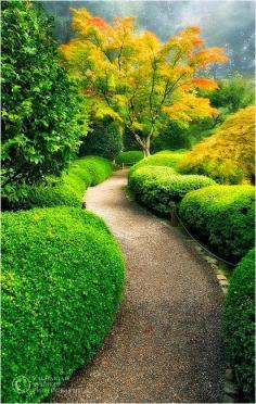 
                    
                        Portland Japanese Garden Oregon, United States.
                    
                
