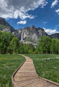 
                    
                        Path to Yosemite Falls
                    
                
