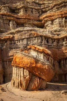 
                    
                        Toadstool, Redrock Canyon, Nevada; photo by Greg Clure
                    
                