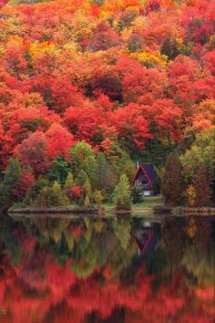 
                    
                        Autumn Lake
                    
                