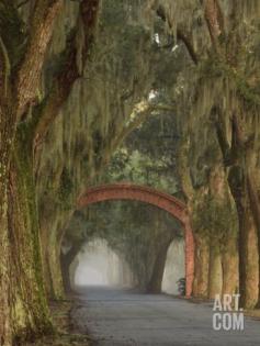 
                    
                        Entrance To Bethesda in Early Morning Light, Savannah, Georgia, USA Photographic Print by Joanne Wells at Art.com
                    
                