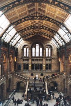 
                        
                            London Natural History Museum, photo by Katie_Pollitt
                        
                    