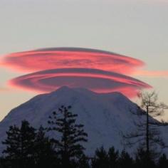 Beauty at its finest! Discovered by Renee Walker at Mt. Rainier, Eatonville, #Washington