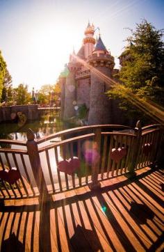 If you have 1 day at Disneyland and want the best plan as possible, read this strategy guide!