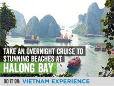 
                    
                        Do this on our Vietnam experience tour!
                    
                