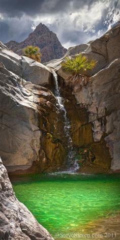 
                    
                        The Emerald Pool and Waterfall, Baja California, Mexico
                    
                