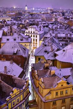 
                    
                        Blue Roofs - Prague, Czech Republic
                    
                