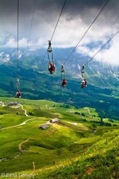 
                    
                        Ziplining in the Swiss Alps
                    
                
