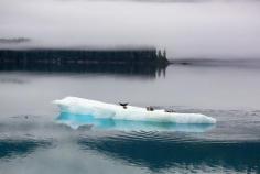 
                        
                            Aboard the Admiralty Dream in Alaska
                        
                    