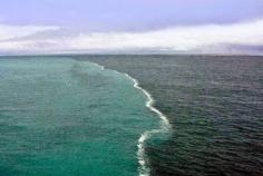 
                    
                        El mar Báltico se une con el mar del Norte de una manera espectacular, creando lineas sin mezclar (aparentemente) la fusión es debido a que las dos corrientes de agua son demasiado diferentes de densidad en la superficie.El porcentaje de sal no es igual.
                    
                