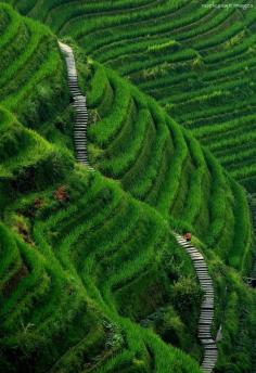 
                    
                        Stairway to Heaven, Longsheng, Guilan County, China
                    
                