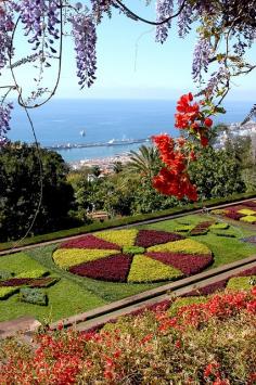 
                    
                        Gardens that are easy on the eyes . .. #madeira #portugal #PortugalFlowerPower
                    
                