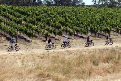 
                        
                            When it comes to California wine tasting, the most obvious options for getting around are: a) driving yourself, or b) paying for a pricey limo to transport you from winery to winery. While both do have the advantage of air-conditioning, biking between wineries is another alternative for (slightly) adventurous and athletic types looking to work off a few of those tasting calories.
                        
                    