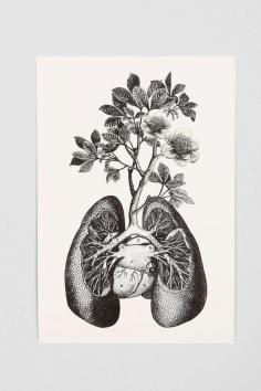 
                    
                        Cirque DArt Lungs Art Print - Urban Outfitters
                    
                