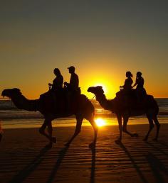 Cable Beach Sunset Camel Ride - Broome, Western Australia -
