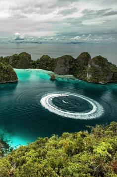 
                    
                        Raja Ampat Islands, Papua New Guinea, Indonesia.
                    
                