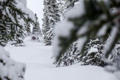 Always deep in the trees, Lexi du Pont enjoying the deep powder in Revelstoke #PinUpLive