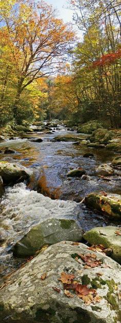 
                    
                        Big Creek, Great Smoky Mountains National Park, North Carolina
                    
                