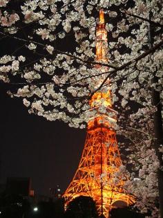 
                    
                        Romantic spring evening in Paris
                    
                