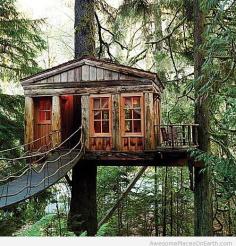 Tree house, Port Washington, Oregon