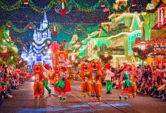 
                        
                            What to Know About November at Walt Disney World!
                        
                    