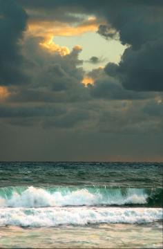 
                    
                        travelingcolors: “ Beach at sunrise, Jupiter | Florida (by Lynne Bernay-Roman) ”
                    
                