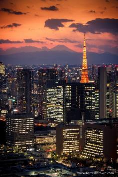 
                    
                        Sunset in Tokyo #Japan #EscapeTravel #Sunset #Asia
                    
                