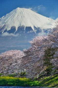
                    
                        Mt. Fuji
                    
                